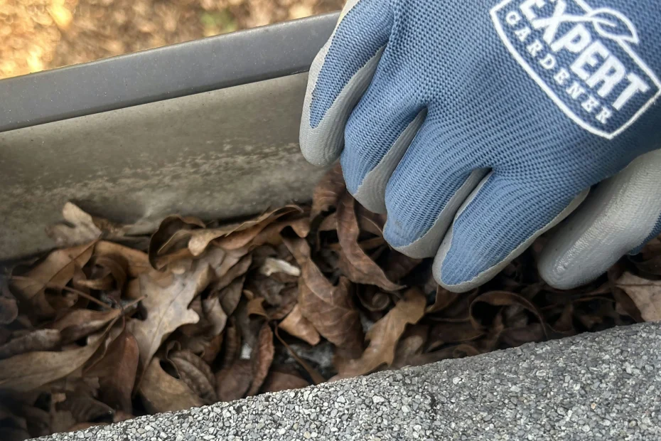 Madison Gutter Cleaning